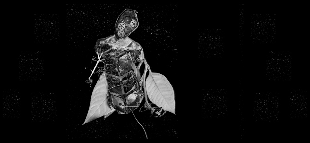 Spitzer Fruzsina  Szarnyak Wings 16 9.jpg